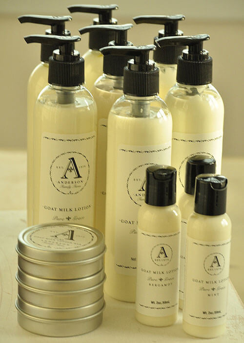 Goat milk lotion in two different clear bottle sizes and 3 stacked metal round tins