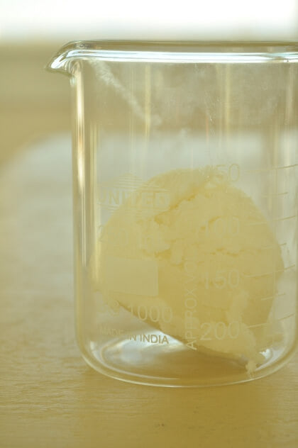 Organic shea butter in clear glass beaker